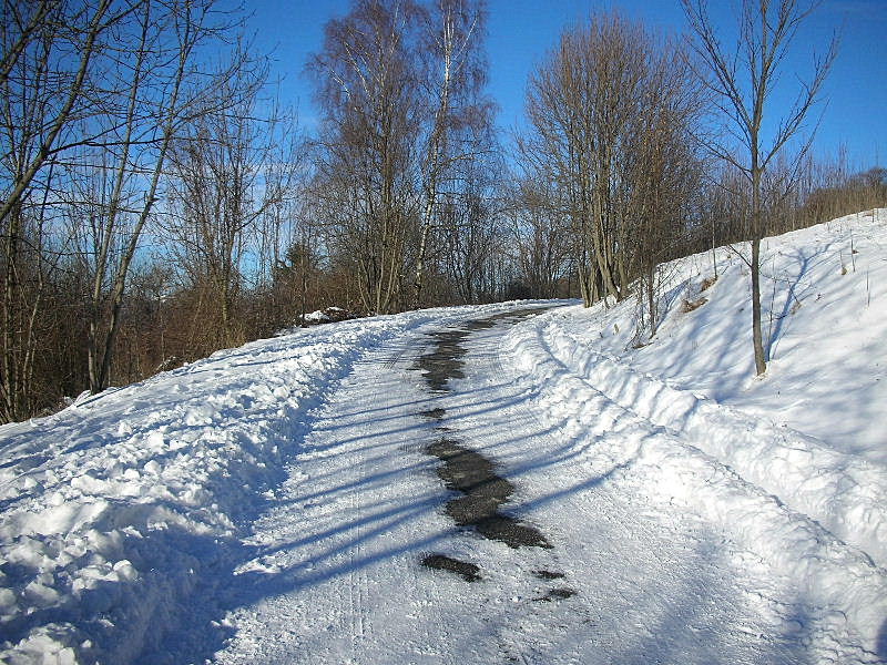 Paesaggi invernali dal Monte Maddalena (BS)